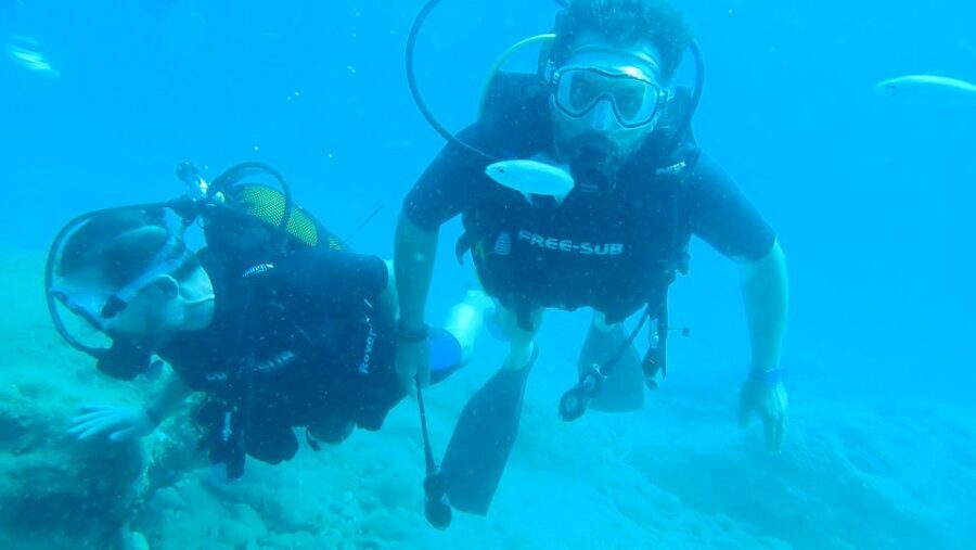 Alanya: 2 Guided Scuba Dives with Lunch and Hotel Transfers - Inside the Underwater Sessions: Depth, Timing, and Marine Life Odds