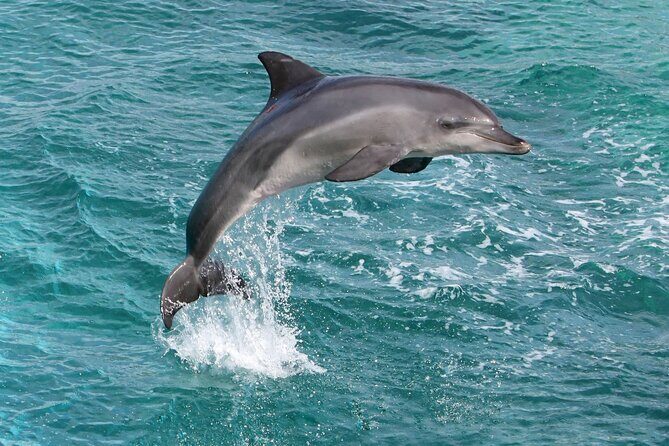 Alanya Catamaran Boat Trip incl. Lunch and drinks - Lunch and Soft Drinks: The Included Comfort Factor