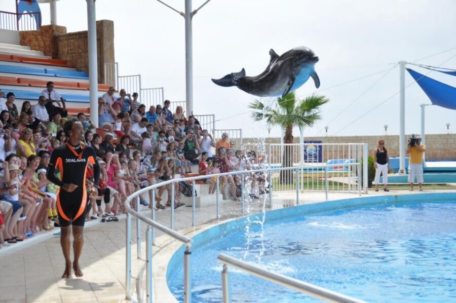 Alanya: Dolphin and Seal Show Ticket with Hotel Transfers - Who this Alanya dolphin and seal show suits best