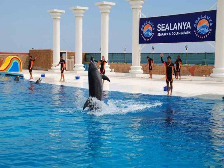 Alanya: Dolphin and Seal Show Ticket with Hotel Transfers - Getting in smoothly: meeting point and physical ticket