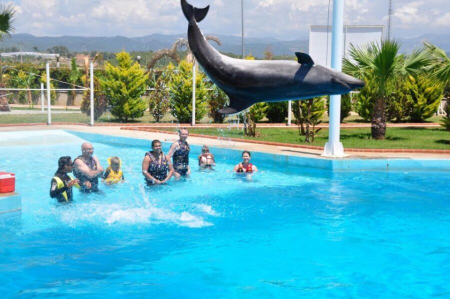 Alanya: Dolphin and Seal Show Ticket with Hotel Transfers - Photos and the end-of-show money question