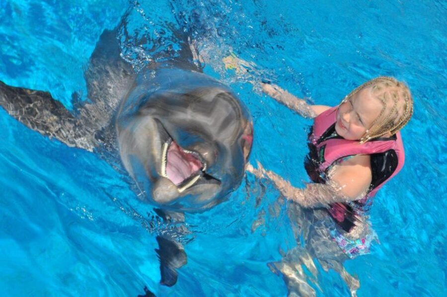 Alanya: Dolphin and Seal Show Ticket with Hotel Transfers - Price and value: what $40 buys you in Alanya