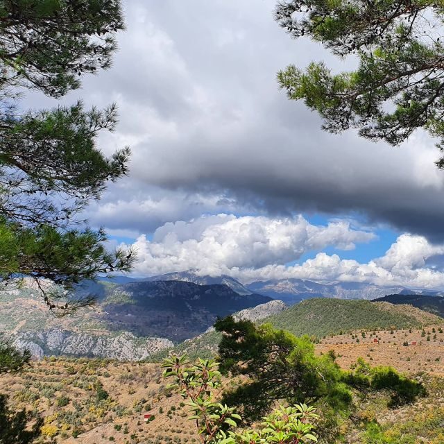 Alanya Family Jeep Safari: Scenic Adventure for All Ages - Pickup, Timing, and What the 8-Hour Day Feels Like