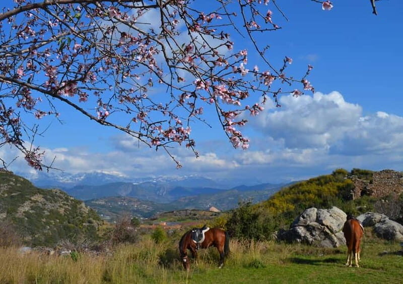 Alanya: Horse Riding Adventure - Where the ride starts: Horse Club Alanya and the 30-minute transfer