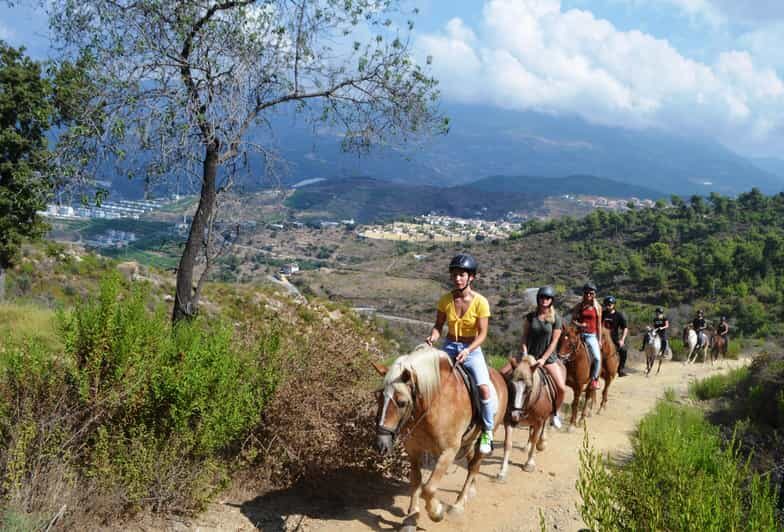 Alanya: Horse Riding Tour - Pickup timing and why it actually matters