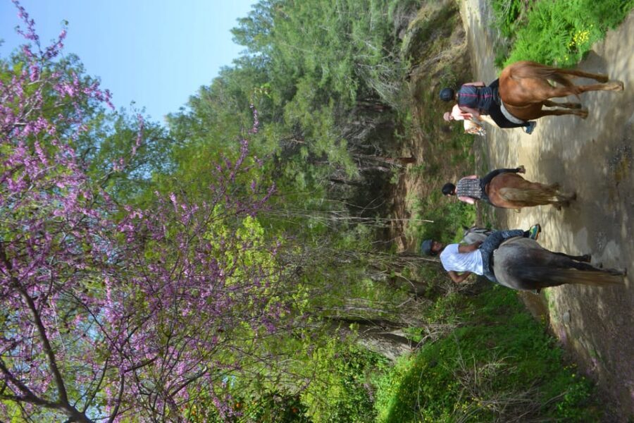 Alanya: Horse Riding Tour - Price and value: is $77 for a 2.5-hour ride worth it?