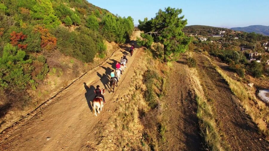 Alanya: Horse Riding Tour - Small details that can make or break the day