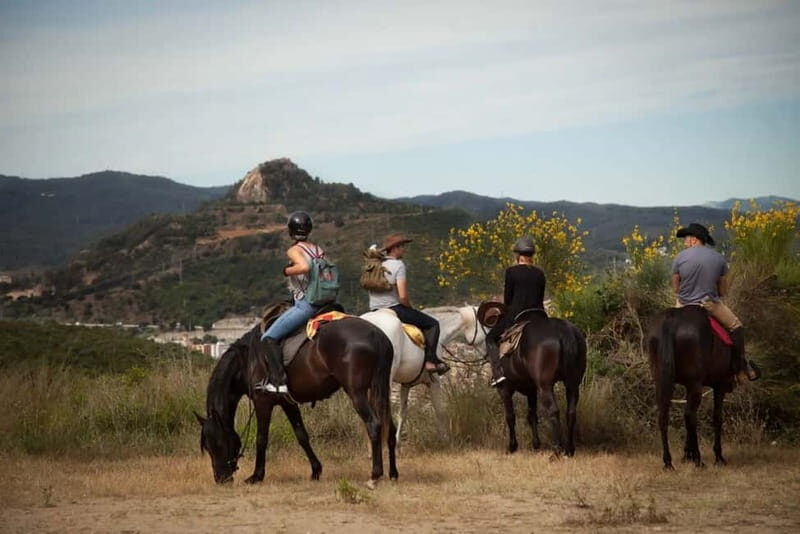 Alanya: Horse Riding Tour with Hotel Transfers - Who Should Skip It (Or Ask More Questions)