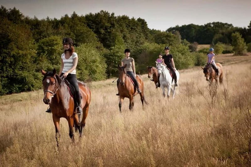 Alanya: Horse Riding Tour with Hotel Transfers - Getting to the Farm: The Easy Hotel Transfer Part