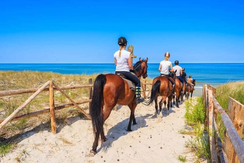 Alanya: Horse Riding Tour with Hotel Transfers - The Main Event: Riding Through Forested, Mountain Areas Near Syedra