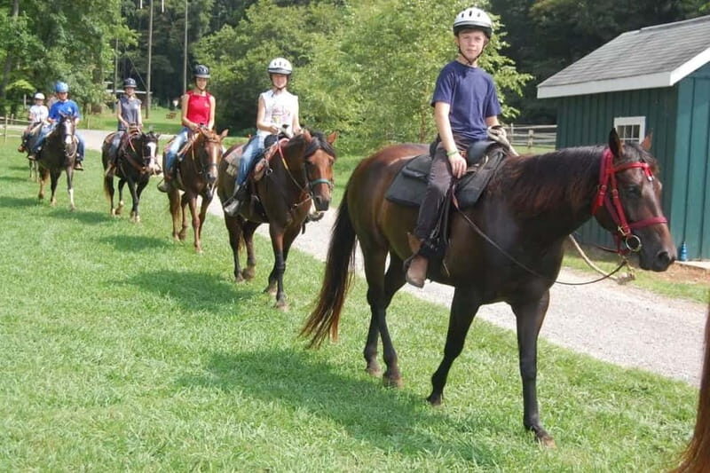 Alanya: Horse Riding Tour with Hotel Transfers - Syedra Castle Viewing or a Local Pool Swim