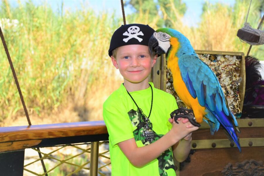 Alanya: Pirate Boat Trip with Meal, Drinks and Pickup Option - Getting the Most Out of Your Swim Stops