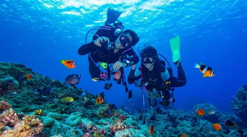 Alanya: Scuba Diving Adventure for Beginners & Professionals - Quick Key Points to Know