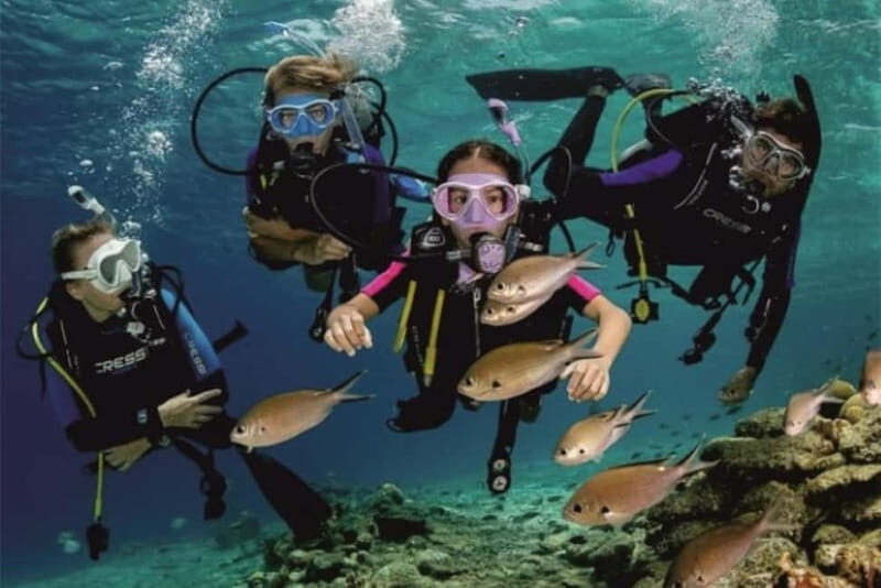 Alanya: Scuba Diving Adventure for Beginners & Professionals - Equipment and Instructor Support: Where Confidence Comes From