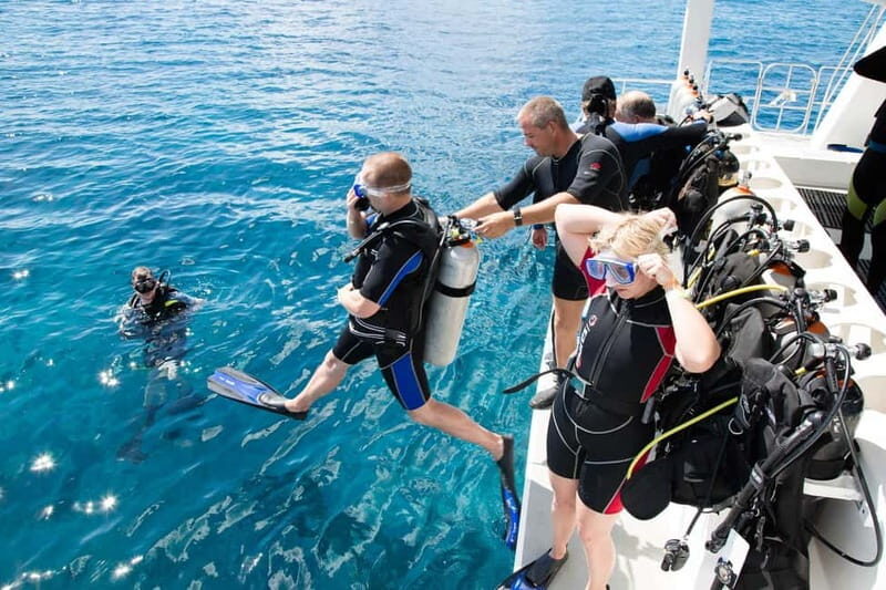 Alanya: Scuba Diving Adventure for Beginners & Professionals - Two Underwater Sessions in Alanya’s Med: What the Day Actually Feels Like