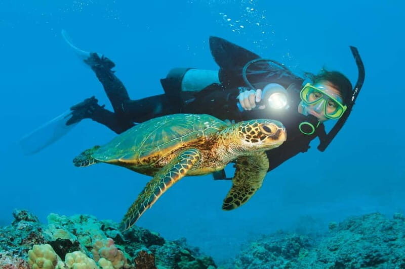 Alanya: Scuba Diving Adventure for Beginners & Professionals - Onboard Briefing: Basics First, Then You Go
