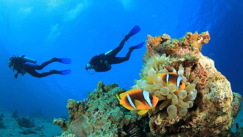 Alanya: Scuba Diving Adventure for Beginners & Professionals - If You’d Rather Not Do Gear: Snorkeling Time on the Same Day