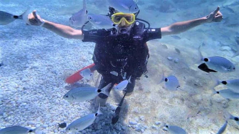 Alanya: Scuba Diving Adventure for Beginners & Professionals - Getting to the Boat: Pickup Timing and the Calm Start