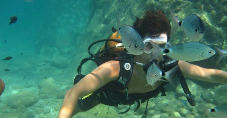 Alanya: Scuba Diving Experience with Lunch - Alanya Marina timing: what the morning actually feels like