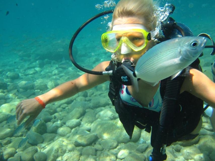 Alanya: Scuba Diving Experience with Lunch - Two short underwater sessions in the Turkish Riviera