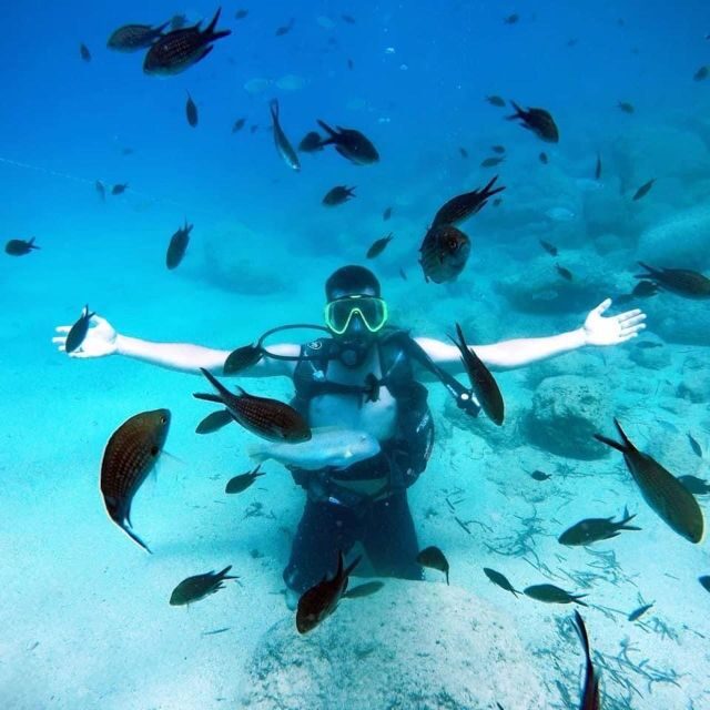 Alanya: Scuba Diving Experience with Lunch - Cost and value: is $50 a fair deal for what you get?