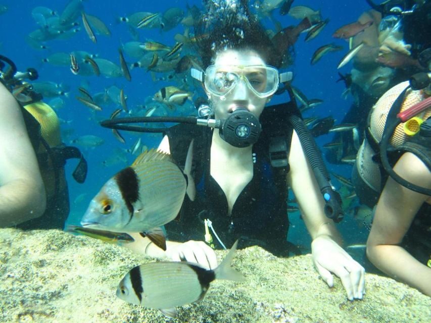 Alanya: Scuba Diving Experience with Lunch - Booking smart: questions to ask before you go