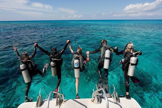 Alanya : Scuba Diving for Beginners w/ Lunch and Transfer - Key Things to Know Before You Go