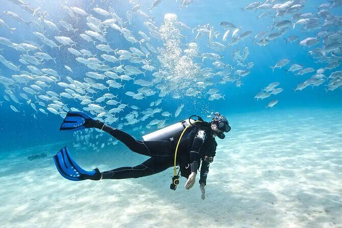Alanya : Scuba Diving for Beginners w/ Lunch and Transfer - What the Two Water Sessions Really Mean for Beginners