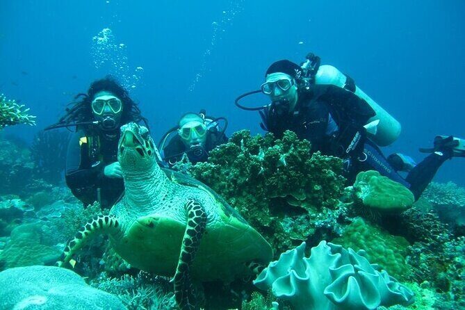 Alanya : Scuba Diving for Beginners w/ Lunch and Transfer - Price and What You’re Actually Paying For