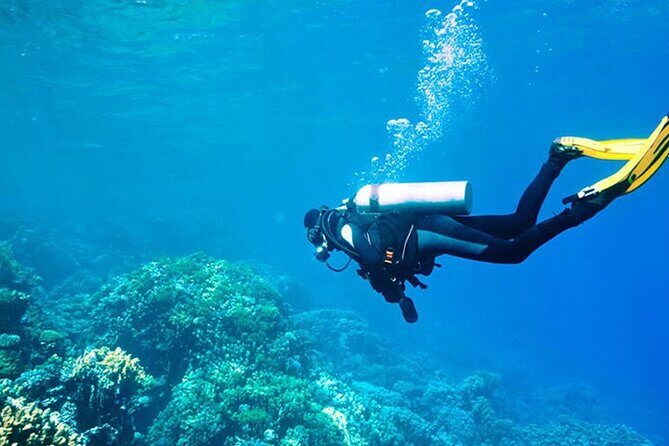 Alanya : Scuba Diving for Beginners w/ Lunch and Transfer - Instruction, Equipment, and Safety: Where Comfort Meets Rules