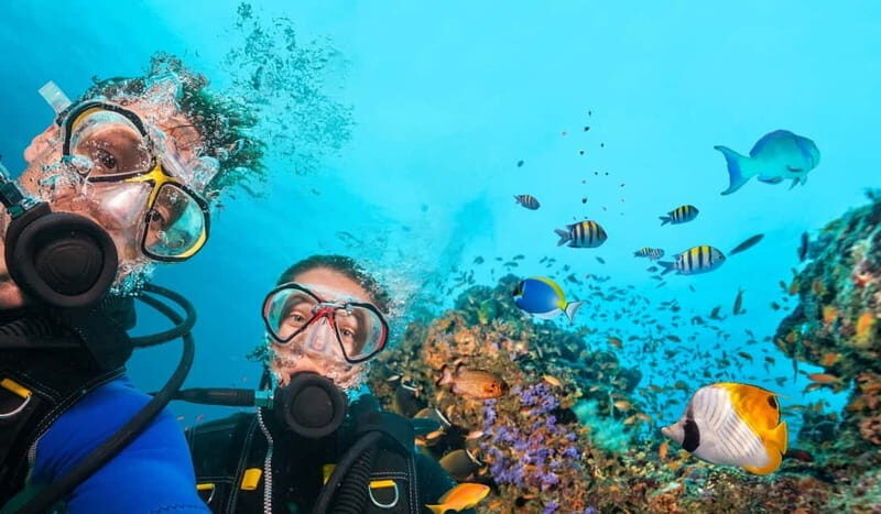 Alanya: Scuba Diving Tour With Lunch - Hotel pickup to harbor: the morning rhythm in Alanya