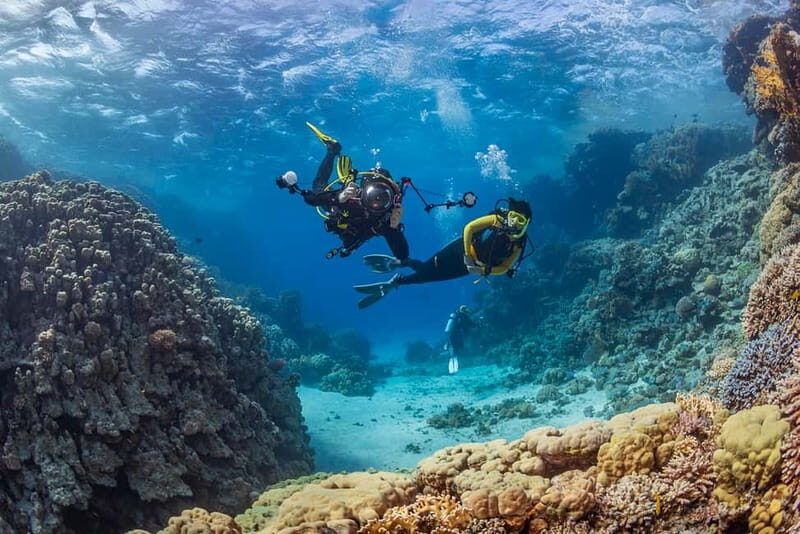 Alanya: Scuba Diving Tour with Lunch and Hotel Transfers - Why Alanya’s castle-cave waters are a smart choice for a first scuba day