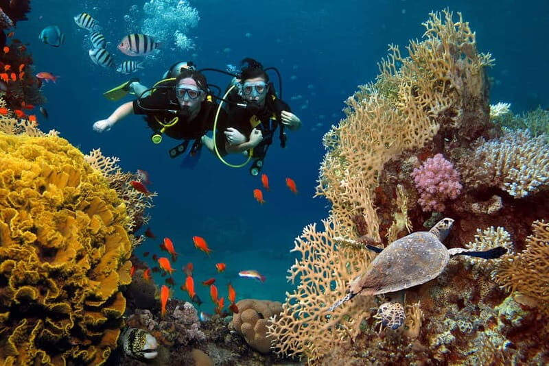 Alanya: Scuba Diving Tour with Lunch and Hotel Transfers - The day at sea: pickup, boat time, and two underwater sessions