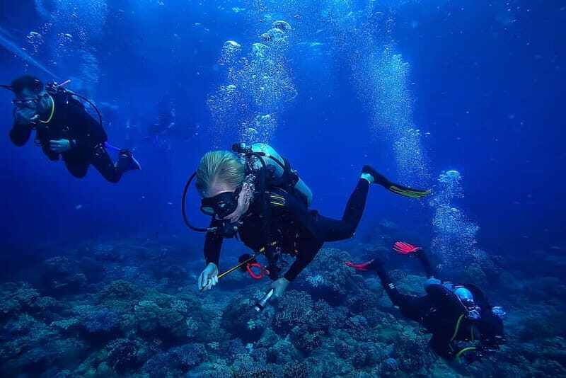 Alanya: Scuba Diving Tour with Lunch and Hotel Transfers - The boat and coaching: why the small-group setup matters