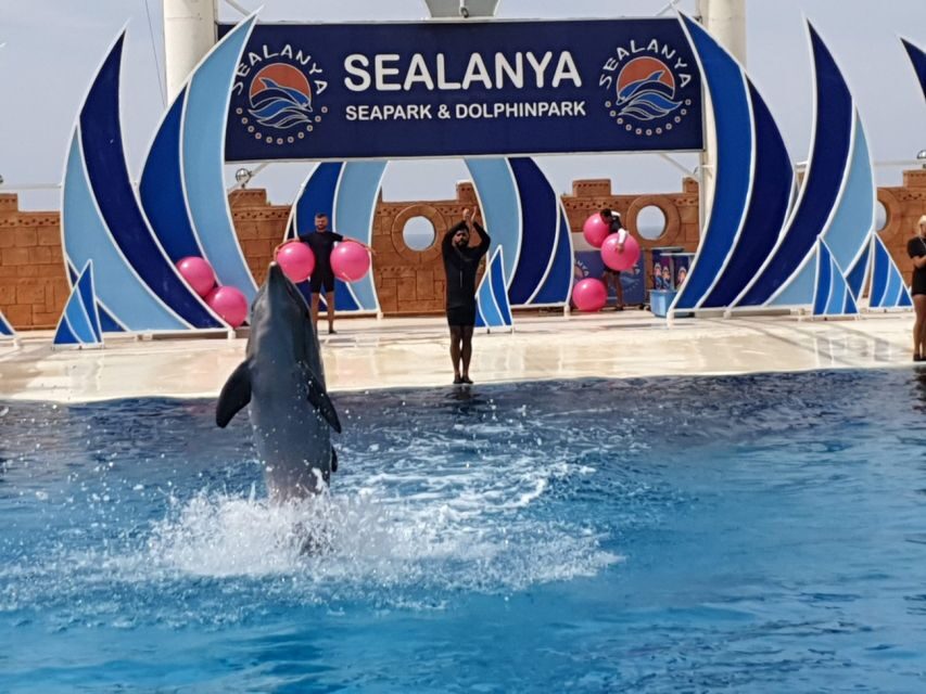 Alanya: Sealanya Dolphinpark Dolphin Show Tour - Price and Value: What $51 Buys (and What It Doesn’t)