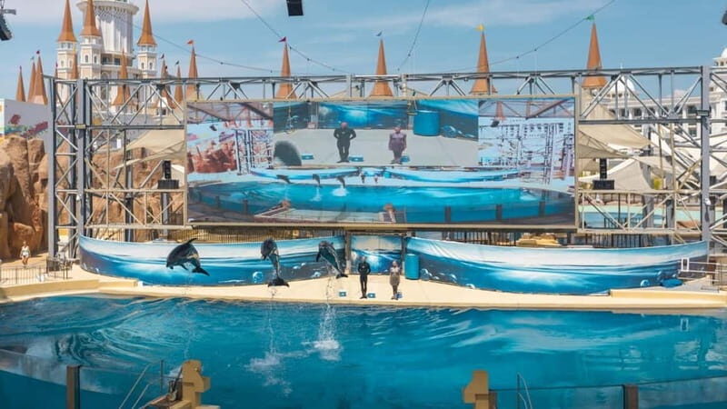 Alanya, Side To Land of Legends Theme Park Ticket & Transfer - Dolphin, beluga, walrus, and sea lion shows: why they matter