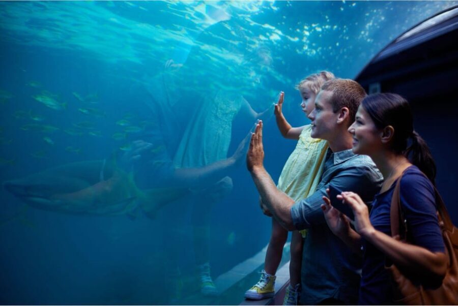 Antalya: Aquarium and Wax Museum Entry Ticket - Key highlights worth knowing