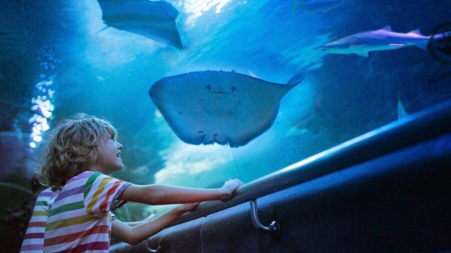 Antalya: Aquarium and Wax Museum Entry Ticket - The one-day value: two attractions, one ticket in Antalya