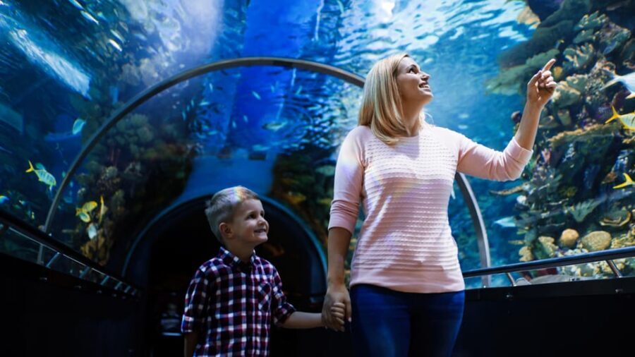 Antalya: Aquarium and Wax Museum Entry Ticket - The marine-life lineup: sharks, octopuses, crocs, and the surprise creatures