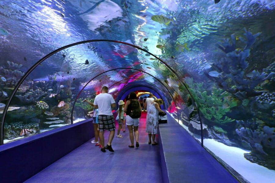 Antalya: Aquarium and Wax Museum Entry Ticket - Who this ticket fits best (and who should reconsider)