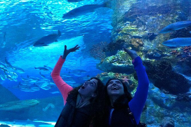 Antalya: Aquarium Ticket With Optional Transfer - Face2Face Wax Museum: a quick indoor reset