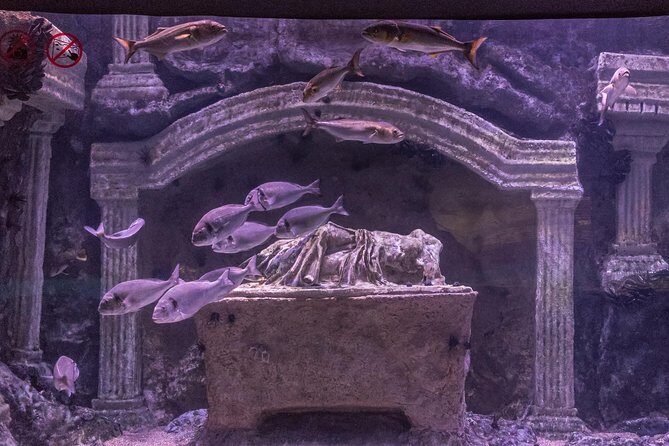 Antalya: Aquarium Ticket With Optional Transfer - Pickup from Antalya hotels: where it can go wrong