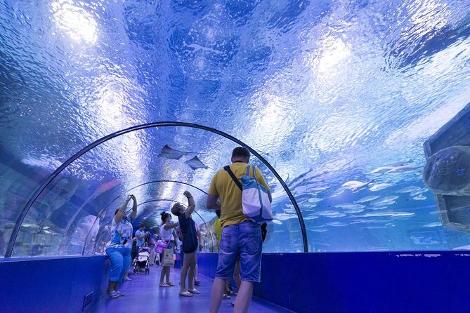 Antalya: Aquarium Ticket With Optional Transfer - What to bring for a smooth aquarium visit