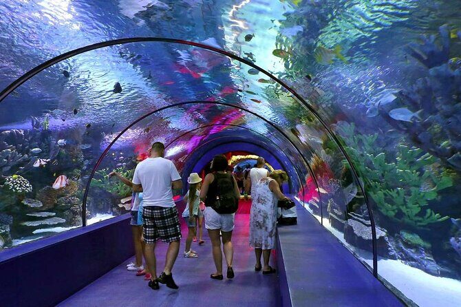 Antalya: Aquarium, Wax Museum & Combo Package Options - Antalya Aquarium + Wax Museum: Why this combo makes sense in Antalya
