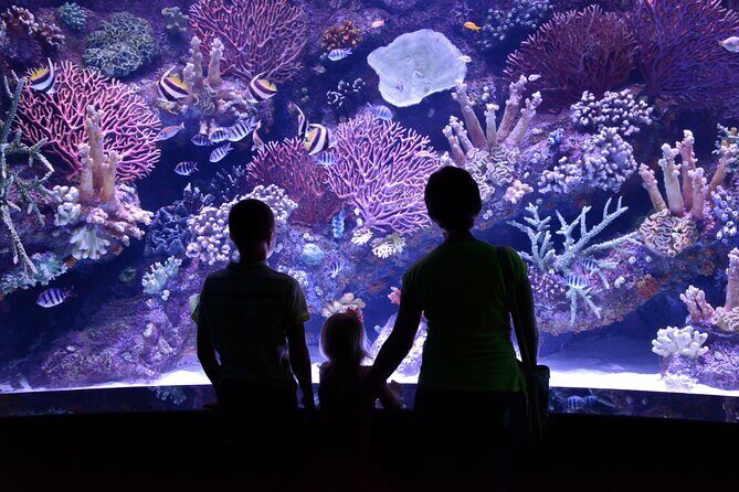 Antalya: Aquarium, Wax Museum & Combo Package Options - Face2Face Wax Museum on the aquarium terrace: the selfie payoff