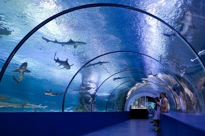 Antalya: Aquarium, Wax Museum & Combo Package Options - Should you book the Antalya Aquarium + Wax Museum combo?