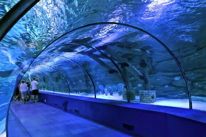 Antalya: Aquarium, Wax Museum & Combo Package Options - Inside Antalya Aquarium: what your time is really spent on