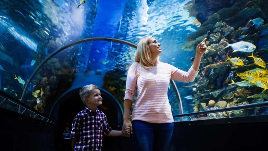 Antalya: Aquarium, Wax Museum, Snow World, Wild Park - Key highlights worth knowing before you go