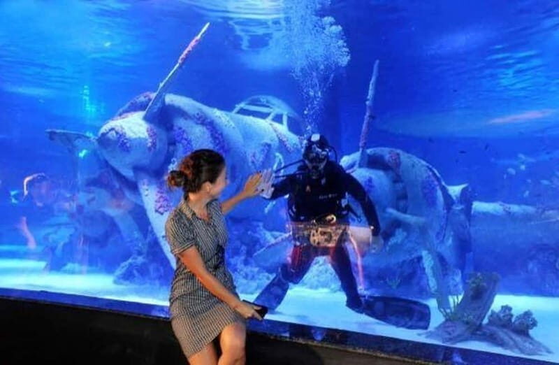 Antalya: Aquarium, Wax Museum, Snow World, Wild Park - Tropical Reef to shark tank: the part that keeps people watching