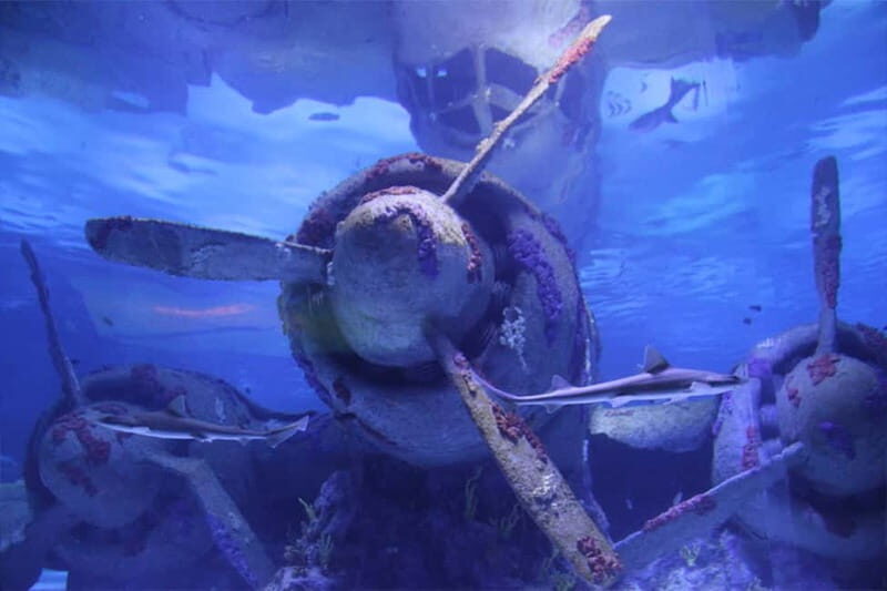 Antalya: Aquarium, Wax Museum, Snow World, Wild Park - Atlantis, tunnel aquarium, and the pirate-ship observation moment